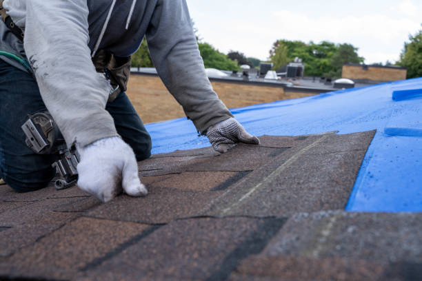 Best Storm Damage Roof Repair  in Crete, IL